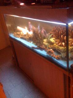 450L Aquarium mit unterschrank Abdeckung Pumpe Fische usw