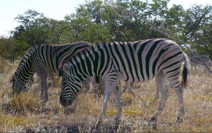 Namibia-Erleben