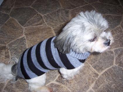 Gestrickte Hundepullover