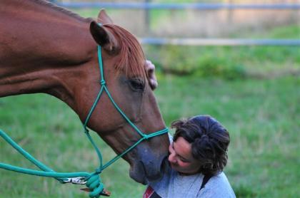 Pferdepsychologie Naturheilkunde für Tiere