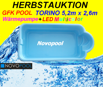 GFK Schwimmbecken 5 20m x 2 55m fertig Pool Einbaubecken LED Lampe komplett SET