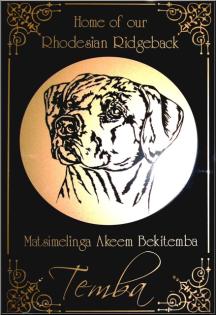 Exklusive Kennel-Schilder