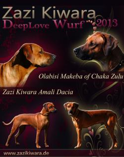 Rhodesian Ridgeback Welpen mit Pap. aus liebevoller Familienzucht 06. 05. 2022