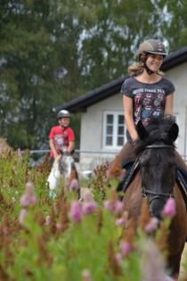 Lust auf tolle Reiterferien im Herbst
