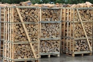 Kaminholz Buche Frisch oder Trocken Kaminfertig gesägt und gespalten Deutschland