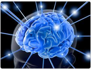 Sync Your Mind For Success - Das Geheimnis finanziellen Erfolges ist gelüftet.