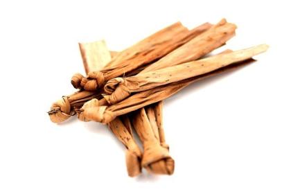 Bananenbaumblätter Banana Leaves - 10 Stück für die Zucht von Garnelen Krebse