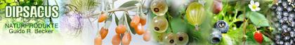 Naturprodukte online von DIPSACUS-NATURPRODUKTE. de