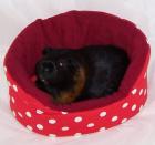 Kuschelbettchen und 1 Kissen viele Muster und Farben f. Meerschweinchen Chinch
