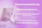 18. 3. 2022 Online-Basisseminar Tierkommunikation