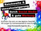 Social Media Content Creator zum Bestpreis