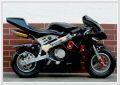 Sport Pocketbike Spezial 2022