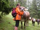 Suche günstige Tierbox im Raum Allgäu