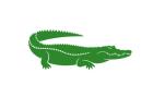 Kaiman What app Gruppe Boerse Reptilien Verkauf Gesuche