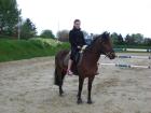 SUCHE EINE REITBETEILIGUNG