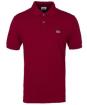 Lacoste Polo Sonderverkauf