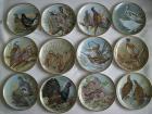 Sammlerteller Wildvögel der Welt komplette Serie Limoges Franklin Porzellan