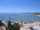 Urlaub mit Hund Insel Vir Kroatien ab 39. -Euro für 4 Personen und Hautier
